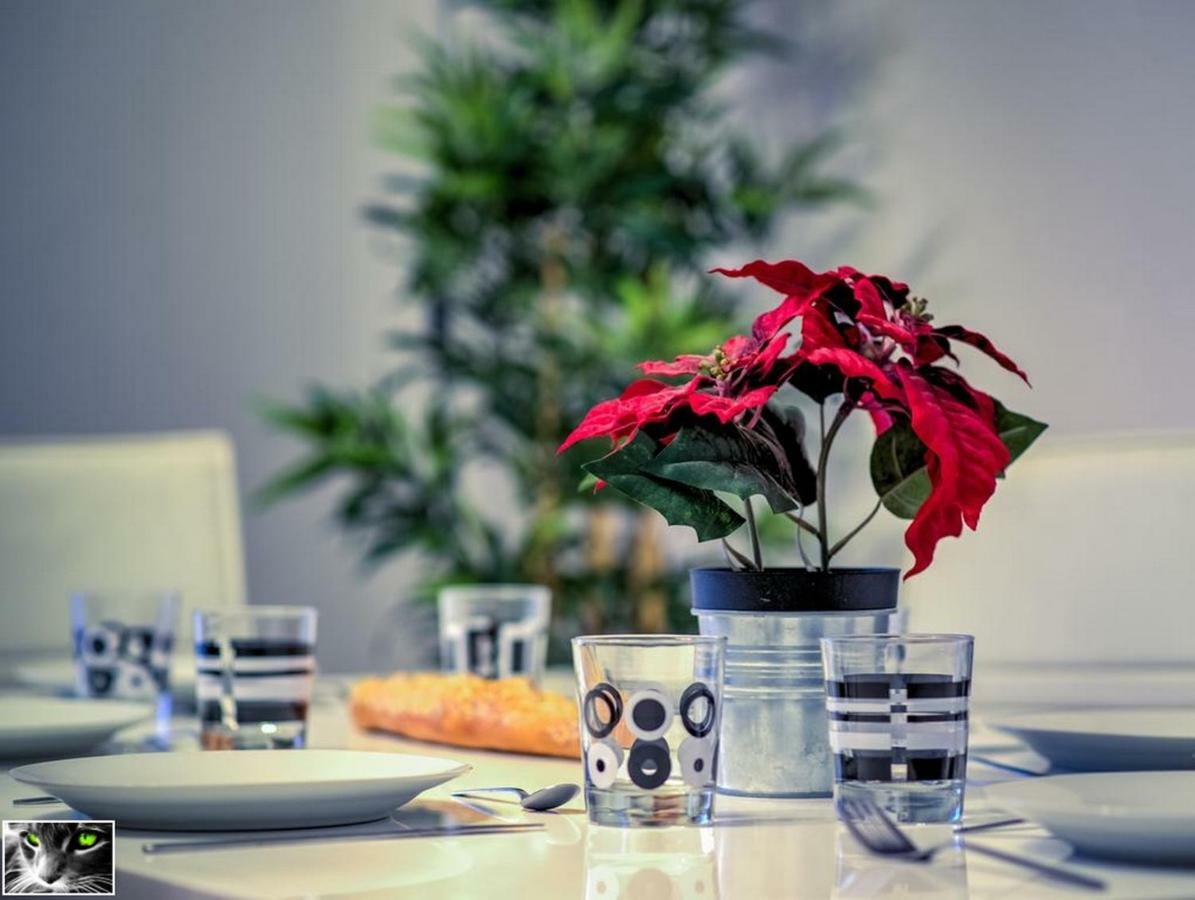 Appartement Spacieux Schiltigheim Esterno foto