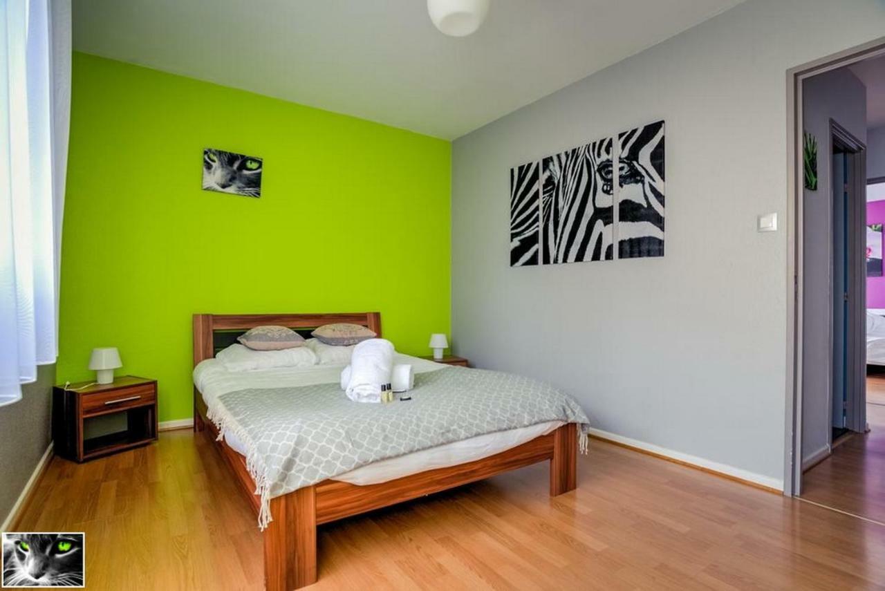 Appartement Spacieux Schiltigheim Esterno foto