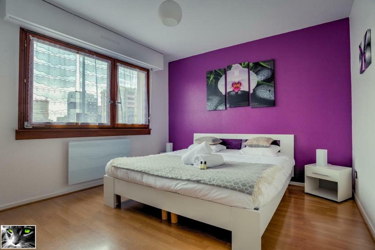 Appartement Spacieux Schiltigheim Esterno foto